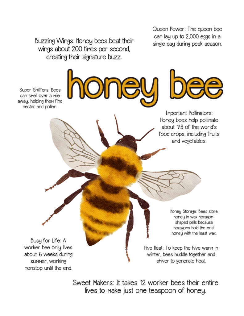 bee-activities-for-printables