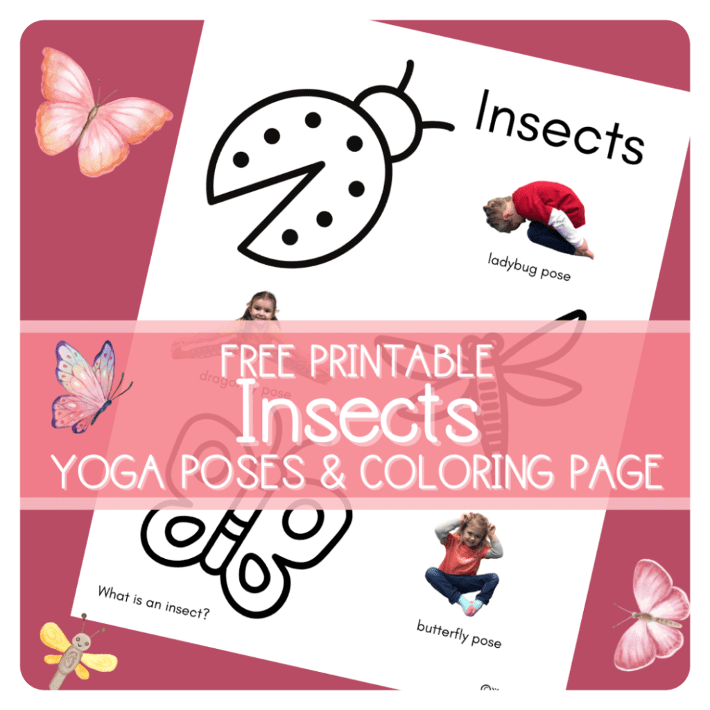 preschool-insect-theme-printables