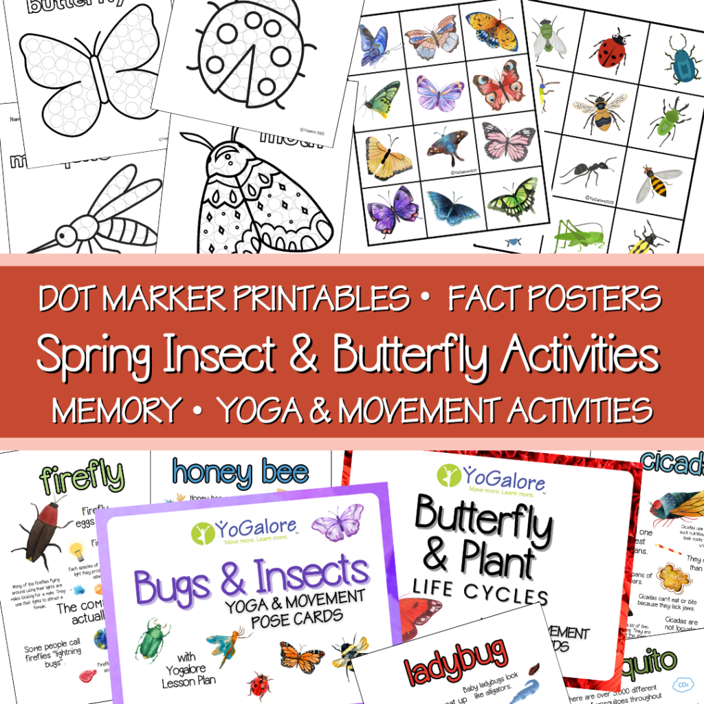 bug-insect-theme-for-preschool