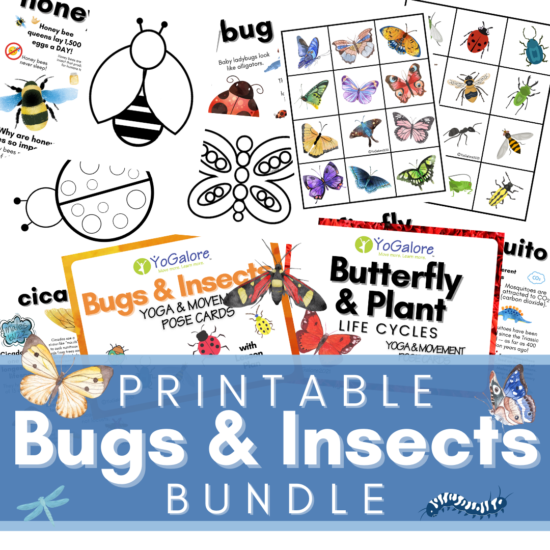 Insect Theme for Preschool -- Activities to Keep Kids Moving & Grooving