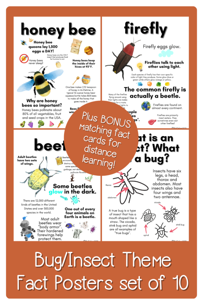 bug-fact-posters