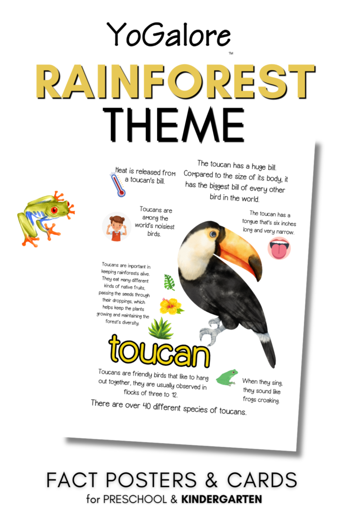 rainforest-animal-facts