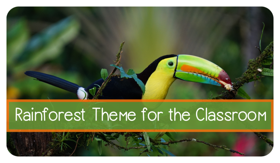 rainforest-theme-for-classroom
