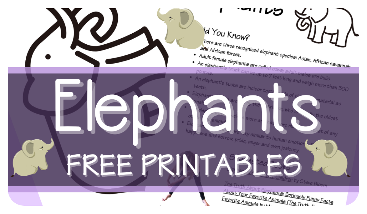 elephant-printable-coloring-page