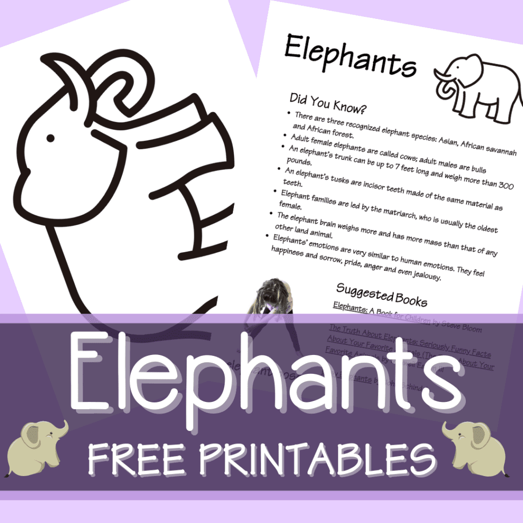 elephant-printable-coloring-page