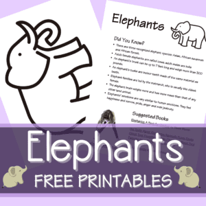 Elephant Printable Coloring Page and Mini Lesson Plan