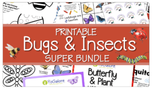 bug-activities-for-preschool