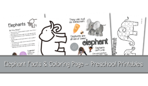 elephant-printable-coloring-pages