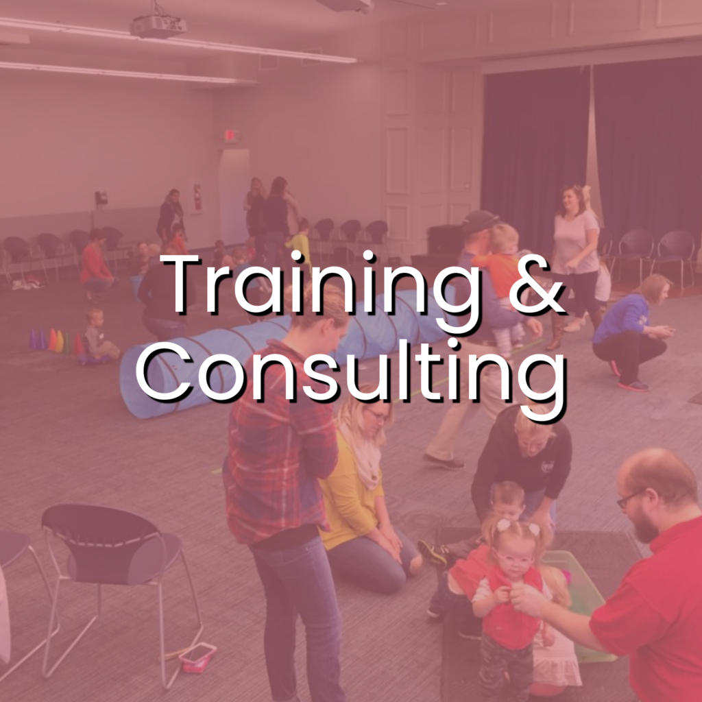 training-and-consulting